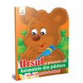 Copertă produs Ursul şi prietenii săi. Prima mea carte de colorat - gallery small 