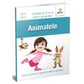Copertă produs Animalele. Activități de zi cu zi - gallery small 