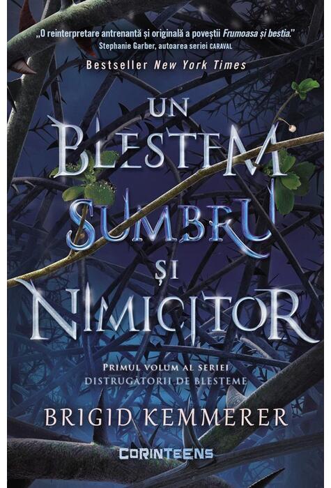 Copertă produs Un blestem sumbru și nimicitor (Vol. 1)
