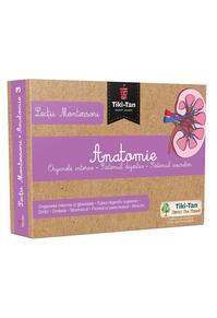 Copertă produs Lecţii de anatomie: Organe interne. Sistemul digestiv. Lecții Montessori