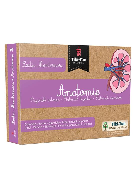 Copertă produs Lecţii de anatomie: Organe interne. Sistemul digestiv. Lecții Montessori - gallery big 2