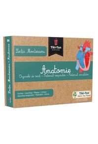 Copertă produs Lecţii de anatomie: Organe de simţ. Sistemul respirator. Sistemul circulator. Lecții Montessori