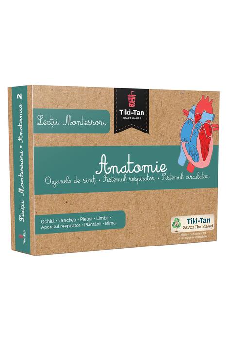 Copertă produs Lecţii de anatomie: Organe de simţ. Sistemul respirator. Sistemul circulator. Lecții Montessori