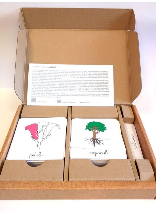 Copertă produs Lecţii de botanică. Lecții Montessori - gallery big 1