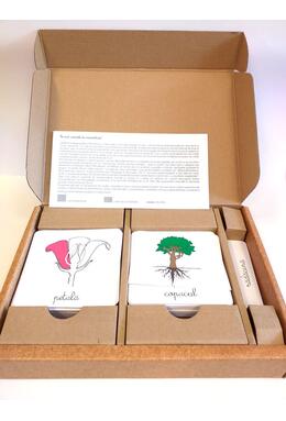 Copertă produs Lecţii de botanică. Lecții Montessori