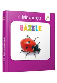 Copertă produs G&acirc;zele. Bebe cunoaște