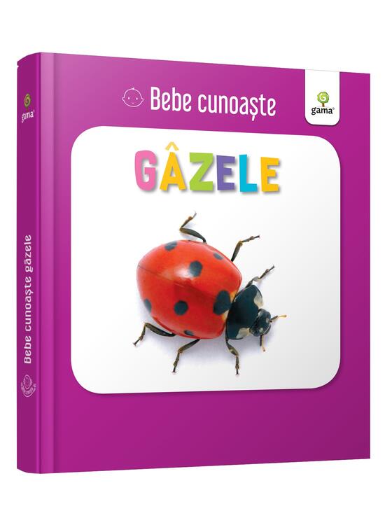Copertă produs G&acirc;zele. Bebe cunoaște - gallery big 1