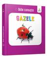 Copertă produs G&acirc;zele. Bebe cunoaște - thumb 1