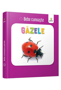 Copertă produs G&acirc;zele. Bebe cunoaște