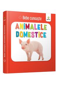 Copertă produs Animalele domestice. Bebe cunoaște