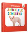 Copertă produs Animalele domestice. Bebe cunoaște - thumb 1