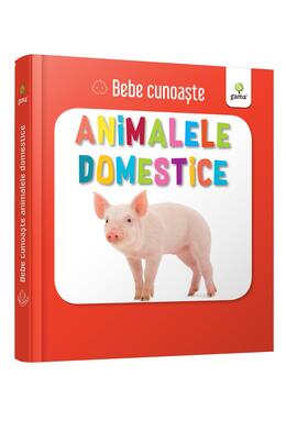 Copertă produs Animalele domestice. Bebe cunoaște