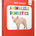 Copertă produs Animalele domestice. Bebe cunoaște - gallery small 