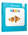 Copertă produs Marea. Bebe cunoaște - thumb 1