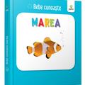 Copertă produs Marea. Bebe cunoaște - gallery small 