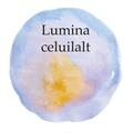 Copertă produs Lumina celuilalt - gallery small 