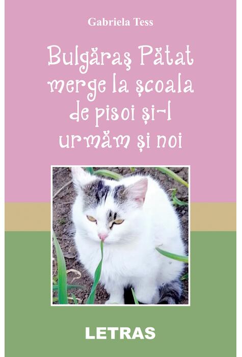 Copertă produs Bulgăraş Pătat merge la şcoala de pisoi şi-l urmăm şi noi