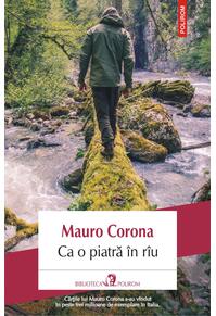 Copertă produs Ca o piatră &icirc;n r&icirc;u