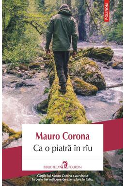 Copertă produs Ca o piatră &icirc;n r&icirc;u
