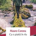 Copertă produs Ca o piatră &icirc;n r&icirc;u - gallery small 