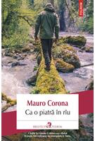 Ca o piatră &icirc;n r&icirc;u