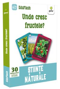Copertă produs Unde cresc fructele? EduFlash