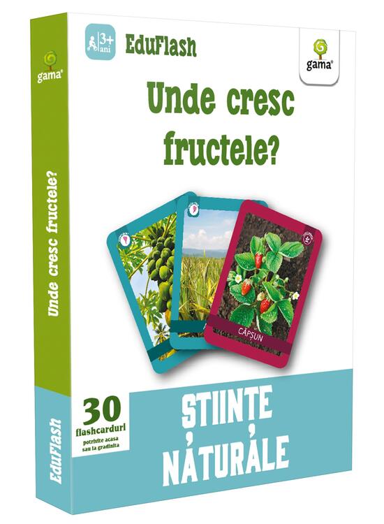 Copertă produs Unde cresc fructele? EduFlash - gallery big 1