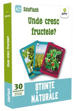 Copertă produs Unde cresc fructele? EduFlash