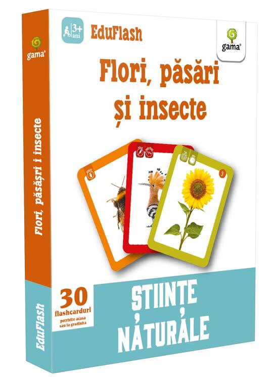 Copertă produs Flori, păsări și insecte. EduFlash - gallery big 1