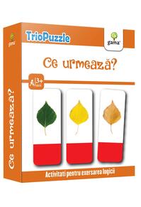 Copertă produs Ce urmează?