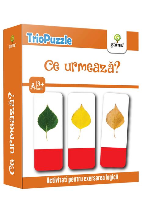 Copertă produs Ce urmează?