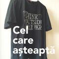 Copertă produs Cel care așteaptă - gallery small 