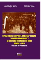 Operațiunile grupului &bdquo;Oriental Slovac" (&bdquo;General Hennocque&bdquo;) și legătura cu grupul de nord roman&ndash; 1919