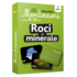 Copertă produs Roci și minerale