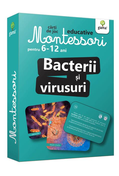 Copertă produs Bacterii și virusuri