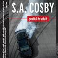 Copertă produs Pustiul de asfalt - gallery small 