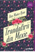 Imagine produs Trandafirii din Mexic