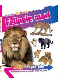 Copertă produs &Icirc;nvață! Felinele mari
