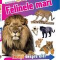 Copertă produs &Icirc;nvață! Felinele mari - gallery small 