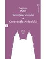 Copertă produs Temniţele Clujului. Caravanele Ardealului (Vol. 5) - thumb 1