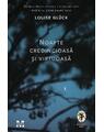 Copertă produs Noapte credincioasă și virtuoasă - thumb 1