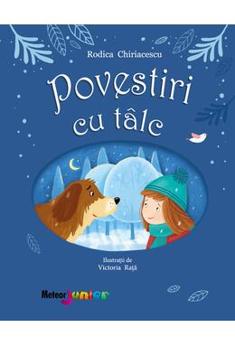 Copertă produs Povestiri cu tâlc