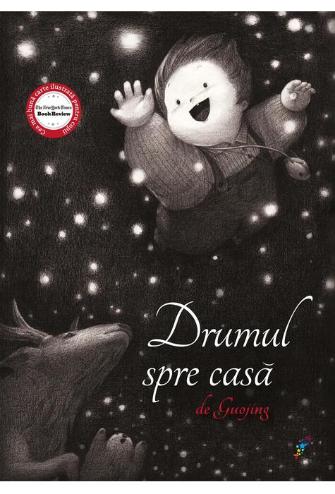 Copertă produs Drumul spre casă