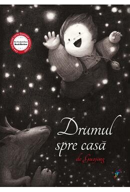 Copertă produs Drumul spre casă