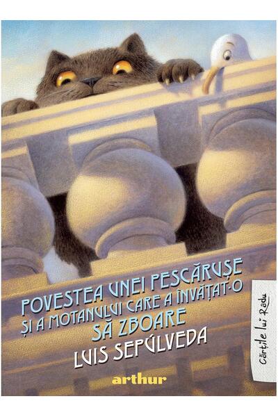 Povestea unei pescărușe și a motanului care a &icirc;nvățat-o să zboare