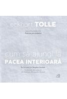 Imagine produs Cum să ajungi la pacea interioară