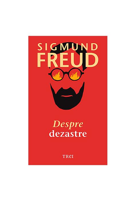 Copertă produs Despre dezastre