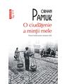 Copertă produs O ciudățenie a minții mele (Top 10+) - thumb 1