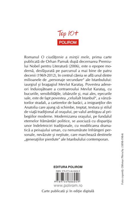 O ciudățenie a minții mele (Top 10+)