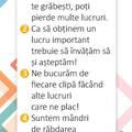 Copertă produs Festina Lente. Jocul Ideilor - gallery small 